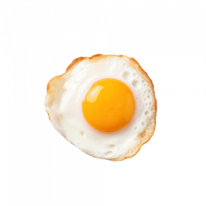 Fried Egg
