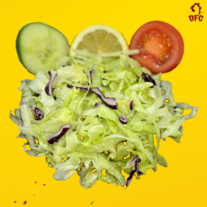 Bag of Salad