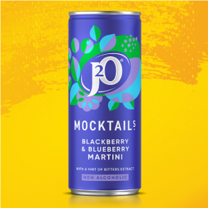 Blackberry & Blueberry Martini (250ml)