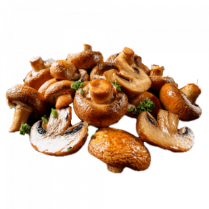 Fried Mushrooms